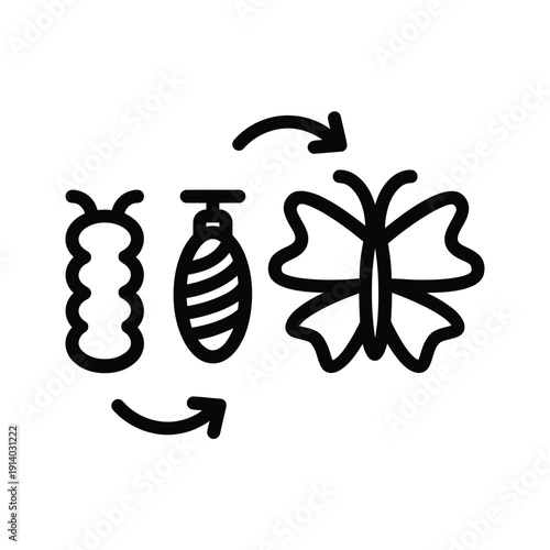 Life cycle of a butterfly illustrated with simple line art icons