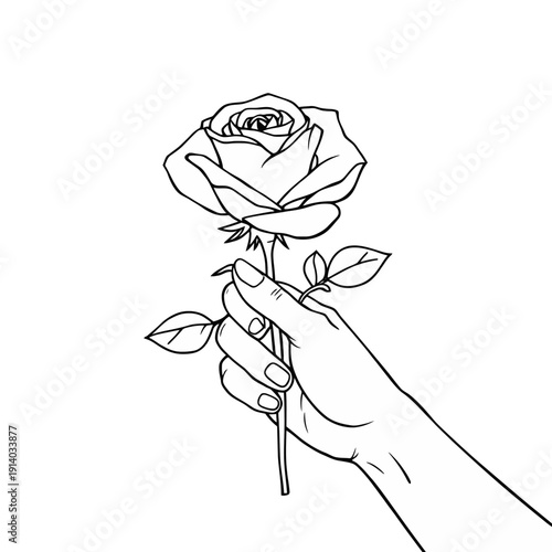 A Hand Holding a Rose