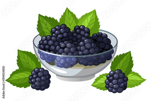 A vector graphic illustration of a bowl of blackberries with green leaves on a white background