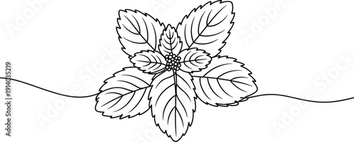A simple outline of a sprig of mint leaves with a central cluster of berries on a white background