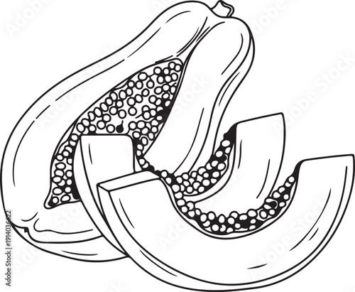 Black and white illustration of a papaya cut open to reveal its seeds and inner fruit structure and texture.