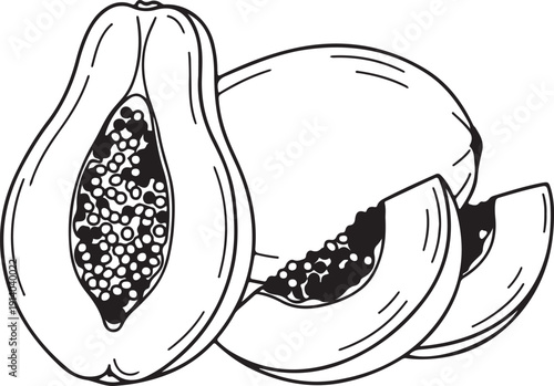 Fresh papaya cut into slices with seeds visible inside the fruit showcasing its tropical flavor and nutritional benefits perfectly in a simple black and white illustration.