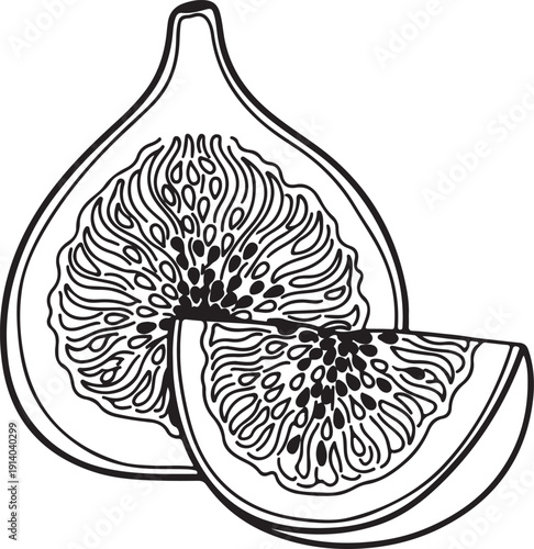 Fresh fig fruit cut in half with seeds and pulp visible, showcasing its interior texture and natural sweetness in a simple line drawing.