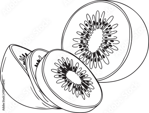 Simple line drawing of sliced kiwi fruit highlighting detailed texture and seeds in black and white illustration style