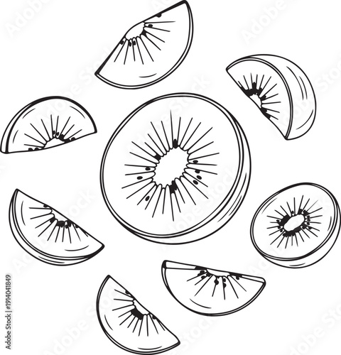 Hand drawn black and white line art illustration showcasing a central round slice of kiwi fruit surrounded by several smaller wedge shaped kiwi pieces floating across a bright white background canvas