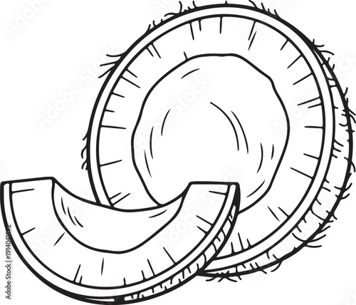 Fresh kiwi fruit sliced into pieces illustration on plain white background vector graphic