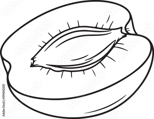 Simple black and white line drawing of a sliced peach with a pit and spiky texture on a plain white background