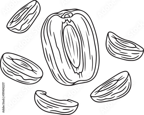 Bell pepper cut open to reveal seeds inside with loose seeds scattered around it in a simple black and white illustration