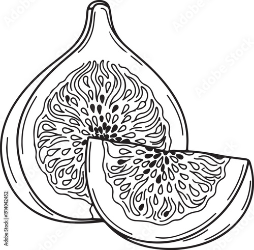 Detailed black and white line art illustration showcases a fresh fig fruit sliced in half revealing its intricate internal seed pattern ready for healthy eating designs.