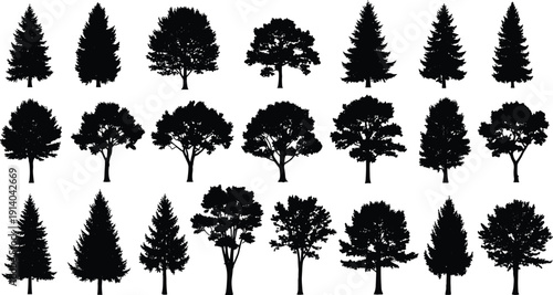Black Silhouette Collection of Diverse Deciduous and Coniferous Trees Isolated on White Background for Landscape Design, Architectural Visualization, Forest Forestry and Nature Graphics