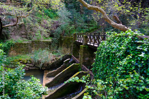 Obraz na plátne Rodini Park is a paradise on earth, situated three kilometres from the city of Rhodes, Greece