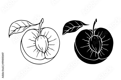 Line sketch, silhouette of a seasonal plum fruit. Vector graphics.