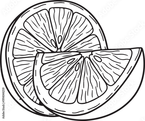 Detailed black and white line art illustration of a citrus fruit slice and wedge representing fresh organic food perfect for healthy eating design projects