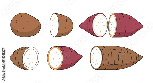 Assortment of brown root vegetables, including whole and halved yuca and sweet potatoes, displaying their white and orange interiors on a white background.