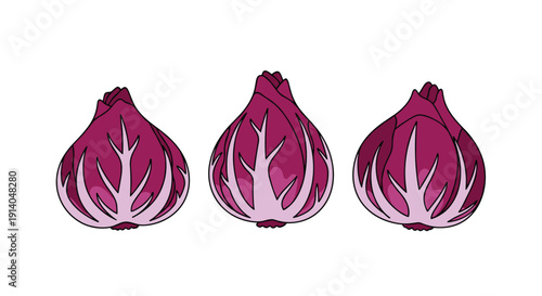 Three vibrant red radicchio heads with white veins are aligned horizontally in a row against a plain white background.