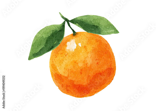 Watercolor painting of a tangerine with green leaves, rendered on a transparent background