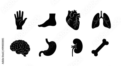 Human organ icon set with hand foot heart lungs brain stomach kidney bone vector
