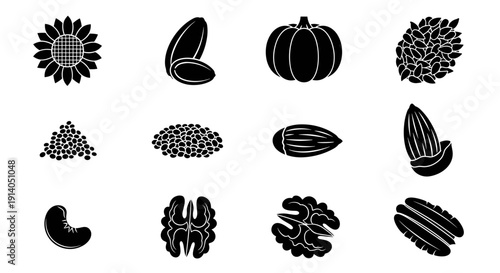 Seed and flower icons set with sunflower pumpkin and beans vector
