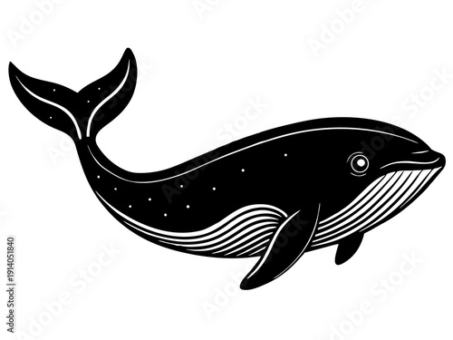 Stylized black and white whale illustration with curved lines and elegant marine design elements