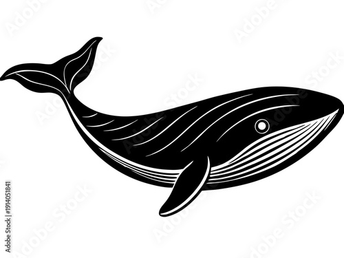 Elegant black and white whale illustration showcasing graceful curves and detailed lines in a minimalist marine art style