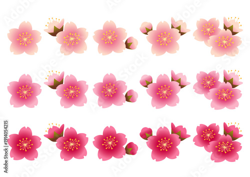 ピンクや白の桜の花の花びらや蕾のセット

