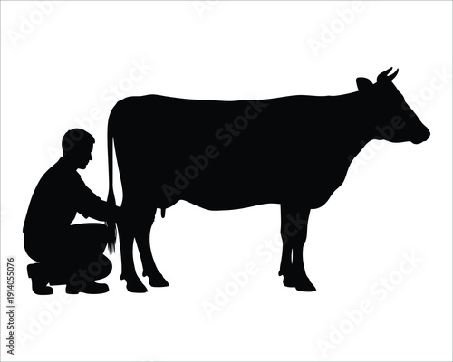 Milking a cow in a rural setting