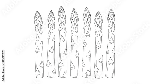 Simple line art drawing of seven fresh asparagus spears represents healthy greens and farm to table ingredients.