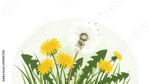 Vibrant yellow dandelions and a fluffy seed head in a grassy field capture the essence of spring and nature.
