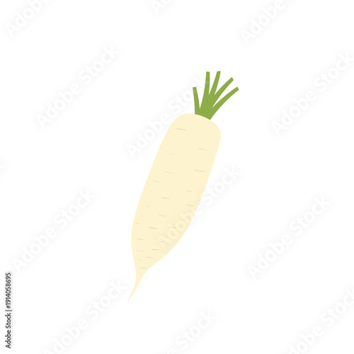 Illustration of a white daikon radish. A bitten daikon radish. Flat design of a daikon radish. Illustration of healthy vegetables. Healthy food. A daikon radish with green leaves
