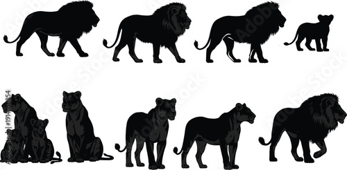 Lion family silhouettes vector set featuring male lion, lioness and cub isolated on white background for wildlife safari design projects