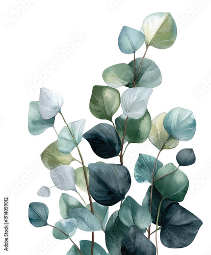 Delicate watercolor botanical illustration of eucalyptus leaves. Green, blue, and gray foliage
