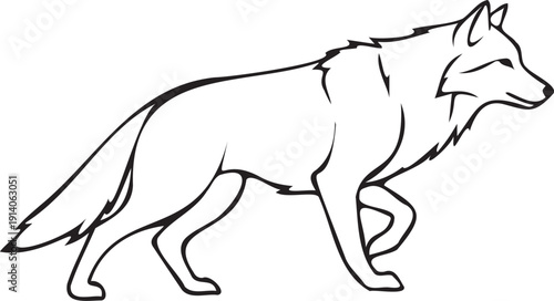 Majestic wolf stalks through forest searching for its next meal