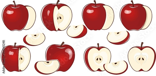 A collection of whole and sliced red apples, illustrated with a clean white background