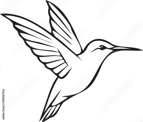 Hummingbird flying line art vector illustration for nature branding