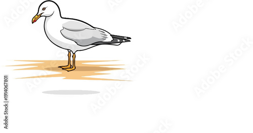 A cartoon seagull stands on a sandy shore, casting a faint shadow