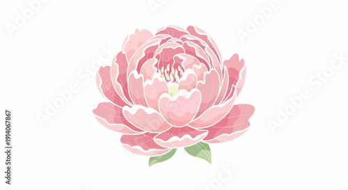 Delicate pink peony with detailed petals and green leaves on a white background