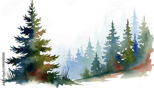 A watercolor depiction of a misty forest with diverse evergreen trees and subtle ground details
