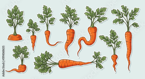 Variety of fresh, vibrant orange root vegetables with green leafy tops, depicted as individual stickers against a pale blue background