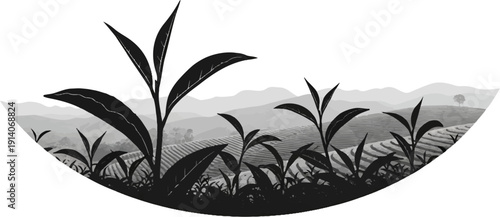 Lush green hills with terraced tea plantations and silhouetted tea leaves in a soft, hazy landscape