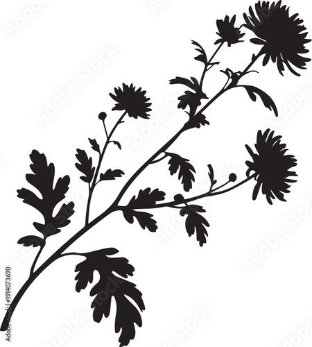 Black Silhouette of Flowering Plant with Leaves and Buds