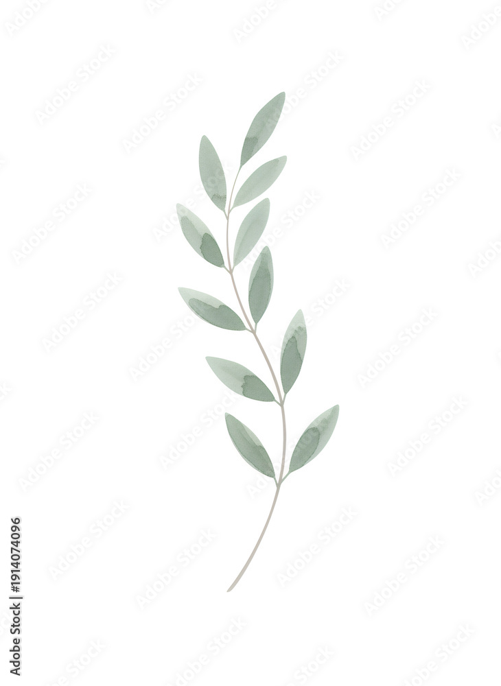 Fototapeta premium Watercolor twig plant botanical element. Leaf spring summer floral illustration. Art for wedding invitation, greeting card, nature design, banner