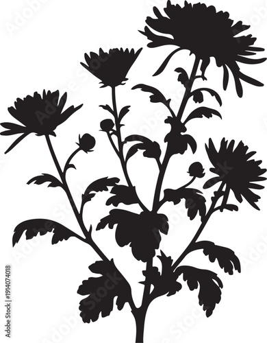 Black Silhouette of Flowering Plant with Multiple Blooms