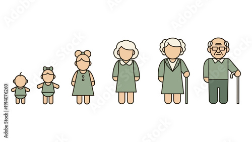 human life stages illustration depicting the complete human aging process from infancy to old age ideal for concepts of demographics health and social studies.