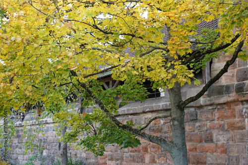 Trees At The City Walls In Nuremberg, Germany. 