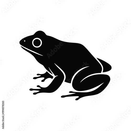 A cute green cartoon frog and brown wild toad isolated on a white background in a macro vector illustration of a small nature wildlife amphibian.