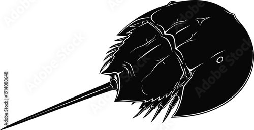 Horseshoe crab side profile shown as a stark black and white biological.