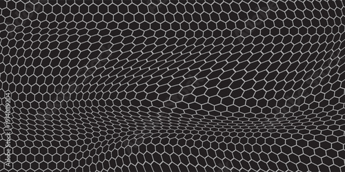 Black and white honey hexagonal cells background. geometric hive hexagonal honeycombs. Vector illustration
