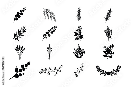 set of plants