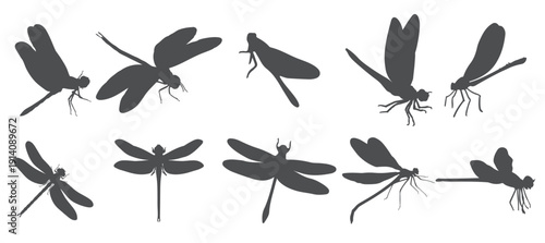 Set of dragonfly vector