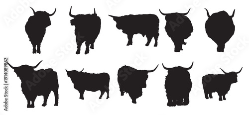  highland cow vector asset for logo